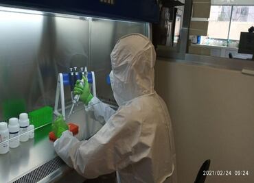 Detectan presencia de coronavirus en aguas residuales de Quintana Roo