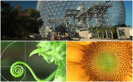 La naturaleza como fuente inspiradora del diseño