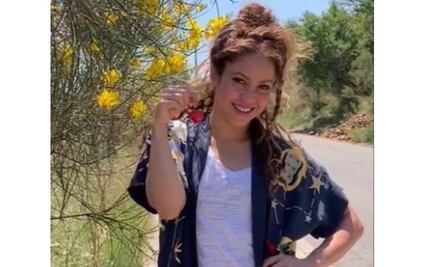 Shakira impacta con sus curvas en bikini