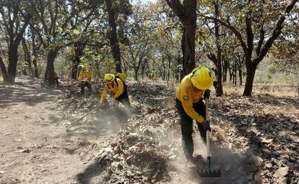 Controlan incendio de gran dimensión en sur de Yucatán