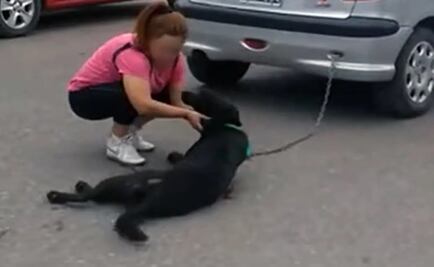 Mujer ata a su perro al auto y lo arrastra por siete cuadras