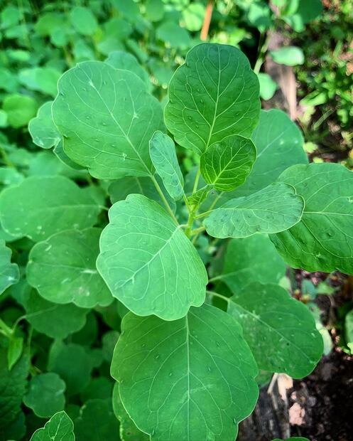 Foto: @bestgirlfridaynyc