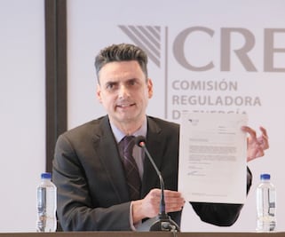 Inhabilitan 10 años a extitular de la CRE