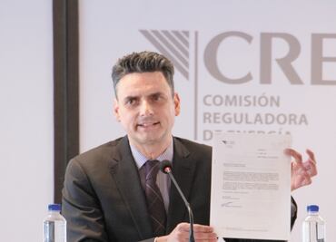 Inhabilitan 10 años a extitular de la CRE