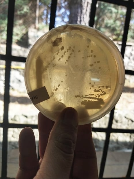 Conoce Monstruo de Agua, una cervecería artesanal comprometida con el medio ambiente