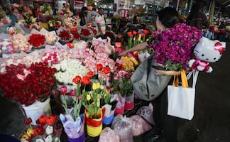 Cultivan más de 15 millones de flores para atender demanda del 14 de febrero en México; las rosas son las más populares