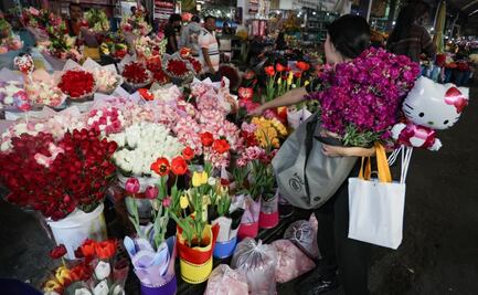 Cultivan más de 15 millones de flores para atender demanda del 14 de febrero en México; las rosas son las más populares