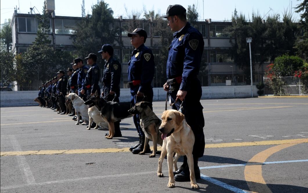 Foto: Archivo/EL UNIVERSAL