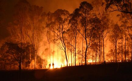 La ciencia que no le teme al fuego: pirogeografía