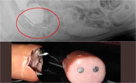 Policía de España alerta por aparición de salchichas con clavos en parques