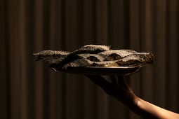 Así son Pujol y Quintonil, los restaurantes mexicanos con dos estrellas Michelin