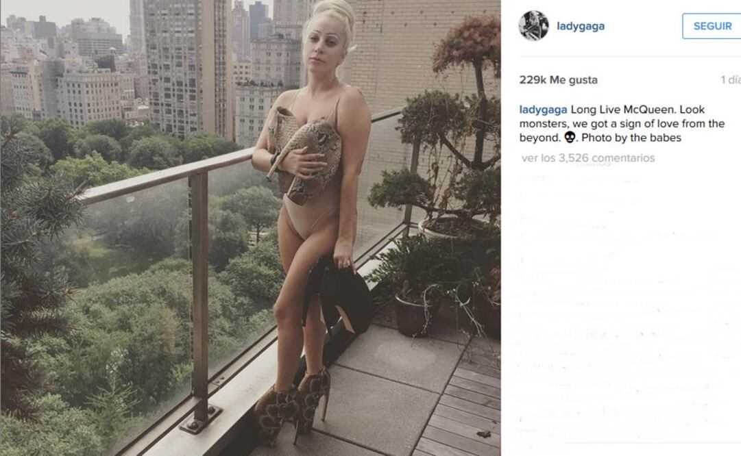 Ese tipo de calzado nunca salió a la venta   Foto:instagram