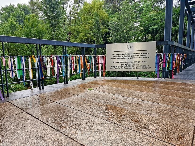 En el puente dedicado a las mascotas fallecidas, los dueños colocan listones para honrarlos. Foto: Gabriel Pano / El Universal