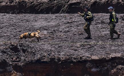 Aumentan a 115 los muertos tras ruptura en represa de Brasil