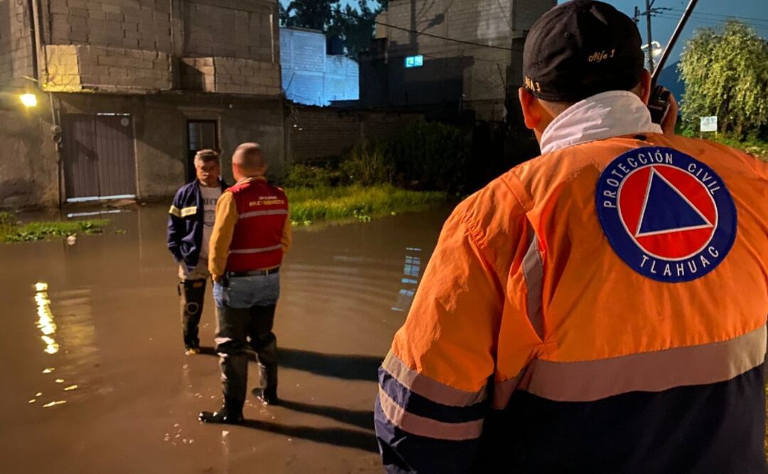 foto: Especial/El Universal