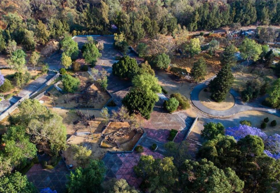 El Bosque de Chapultepec se divide en tres secciones / Foto: chapultepec.org.mx