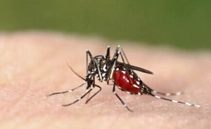 Hay 3 mil 306 casos de Chikungunya en el país: SSA