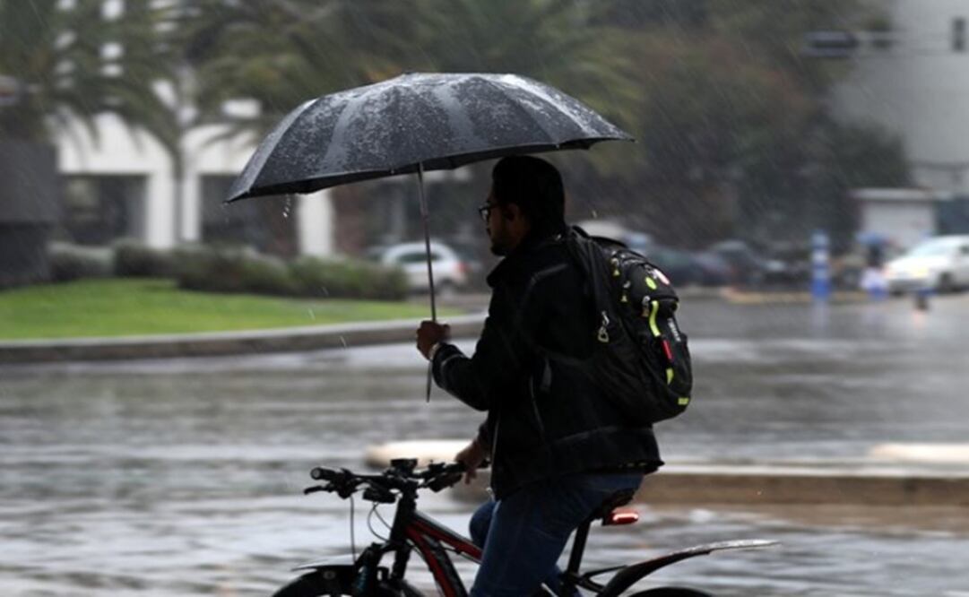 Foto: Archivo. EL UNIVERSAL