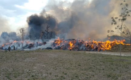 Reportan incendio de composta y basura en parque Cuitláhuac en Iztapalapa