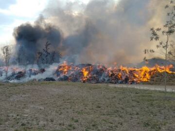 Reportan incendio de composta y basura en parque Cuitláhuac en Iztapalapa