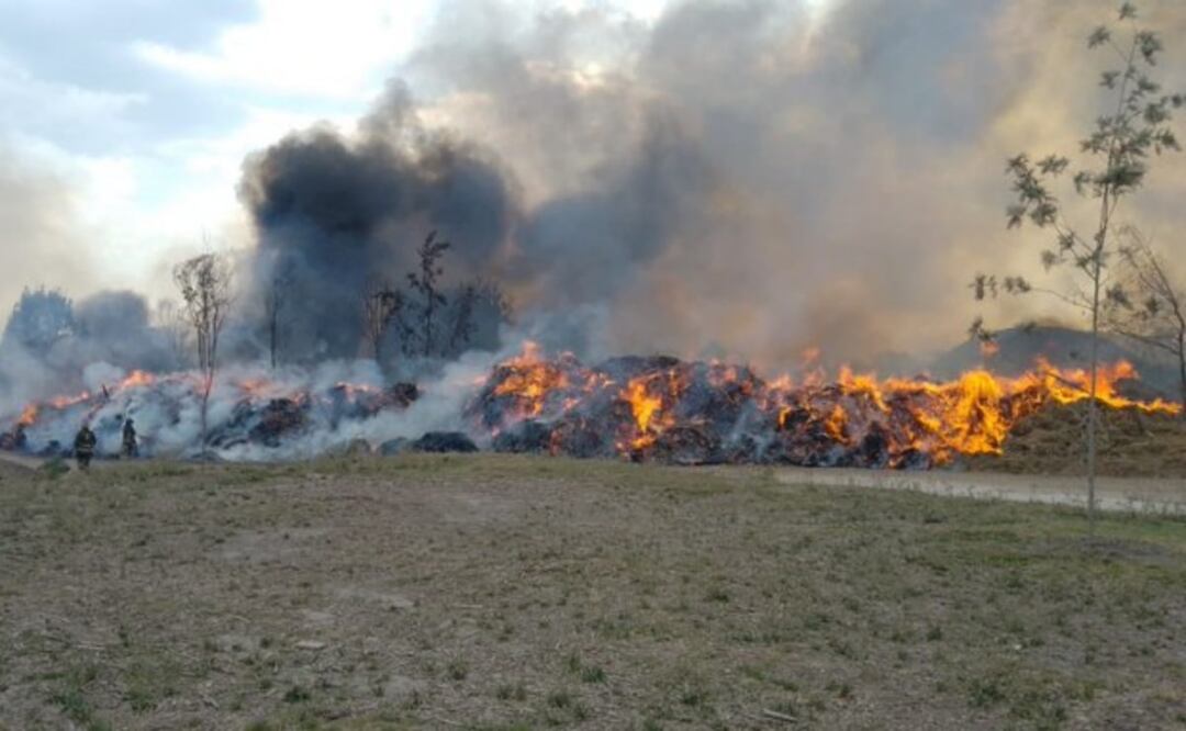Incendio en el parque Cuitláhuac en Iztapalapa. Foto: Especial