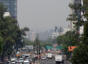 Nueva norma de verificación entrará el 1 de julio: Pacchiano