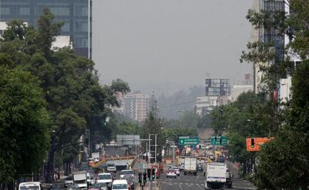 Nueva norma de verificación entrará el 1 de julio: Pacchiano