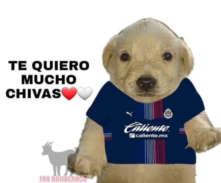 Chivas volvió a ganar y los memes confirman la ilusión de su afición