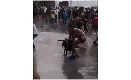 Video. Perro pitbull ataca a niña en Iztacalco