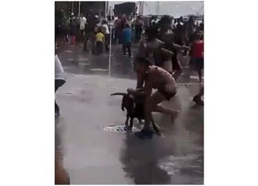 Video. Perro pitbull ataca a niña en Iztacalco