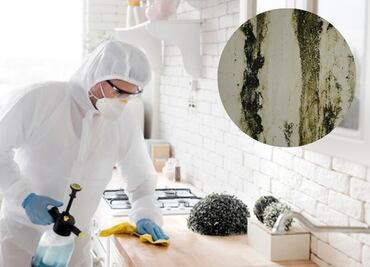 ¿Cómo quitar el moho de tu baño y cocina? dos trucos rápidos y sencillos para eliminarlo