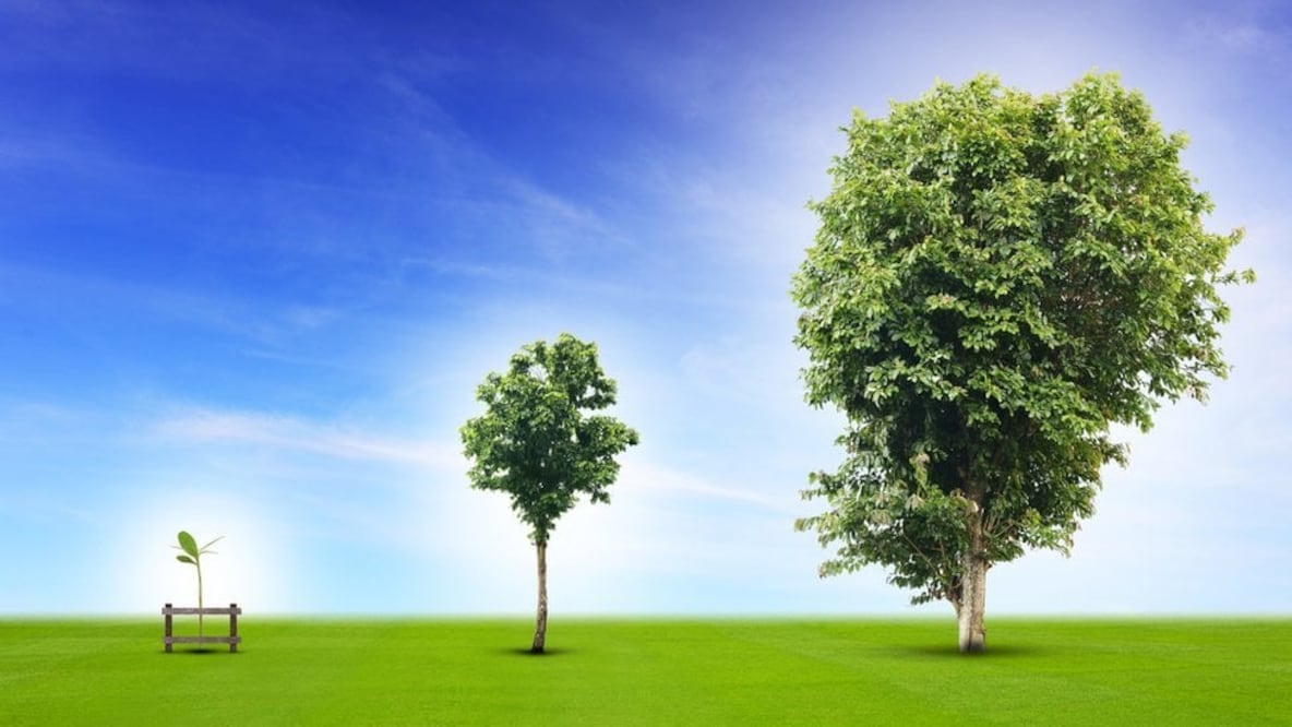 En castellano hay varios modos de expresar una cualidad en su grado más alto. Foto: Getty Images 