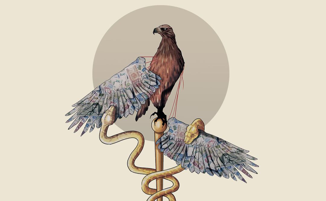 Ilustración: Liliana Pedraza