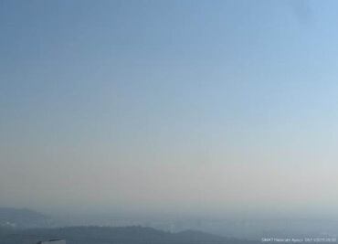 Piden a Müller informe sobre precontingencias