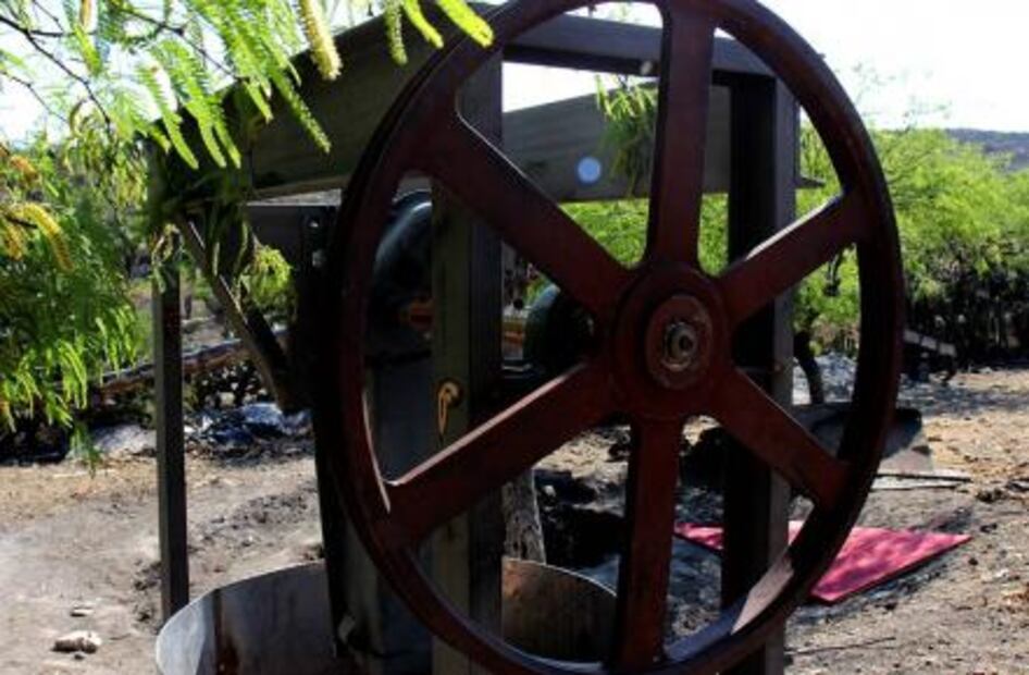 Sale del desierto el mejor mezcal de México