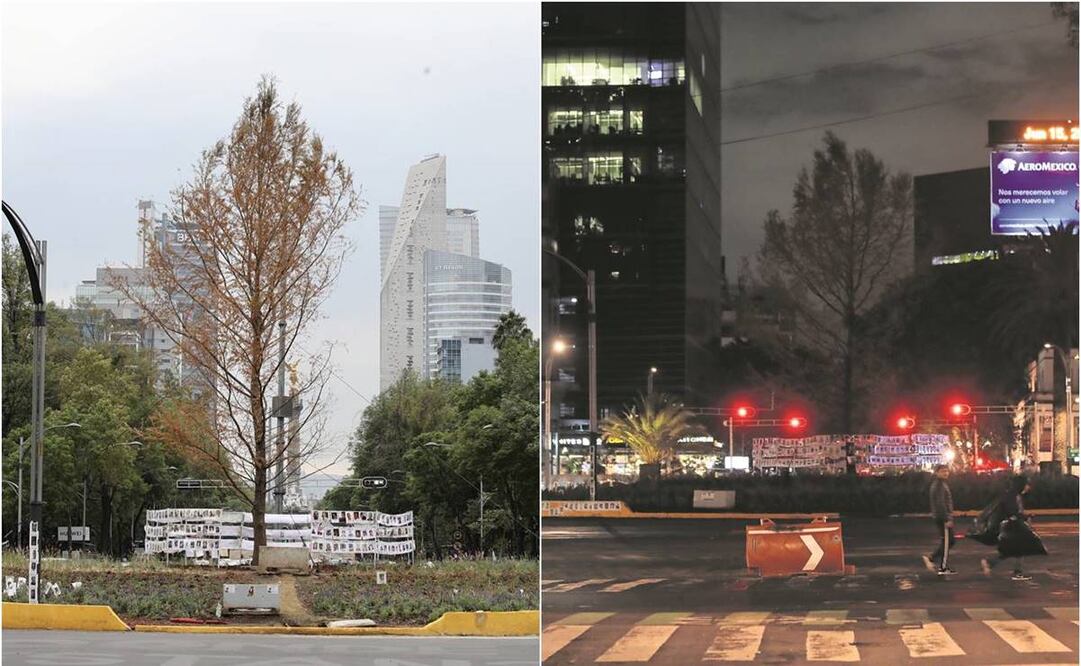 En un recorrido durante la noche por las inmediaciones del ahuehuete, conductores reconocieron que el árbol es imperceptible a lo lejos y hace falta señalética. El 7 de junio un automovilista se subió a la glorieta. Foto: Valente Rosas/EL UNIVERSAL