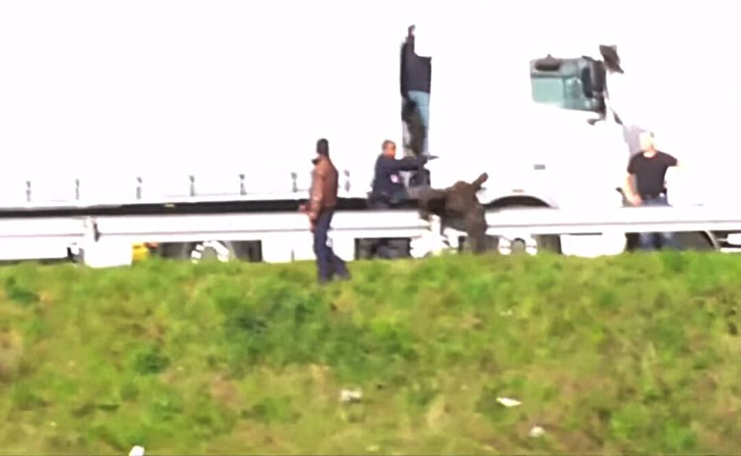 Video: Policías golpean a migrantes; Francia investiga