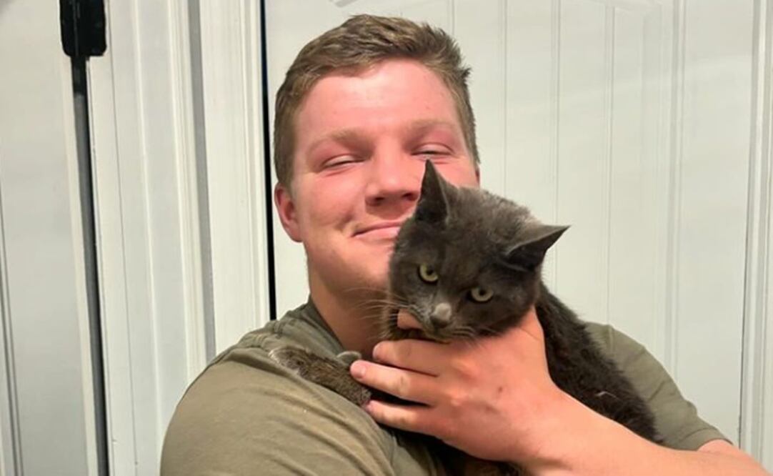 La última publicación de Robert Brown en Instagram fue hace seis días junto a esta gatita que adoptó.