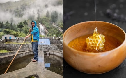 ¿Qué se celebra hoy, 6 de agosto?; conoce las efemérides de este miércoles  