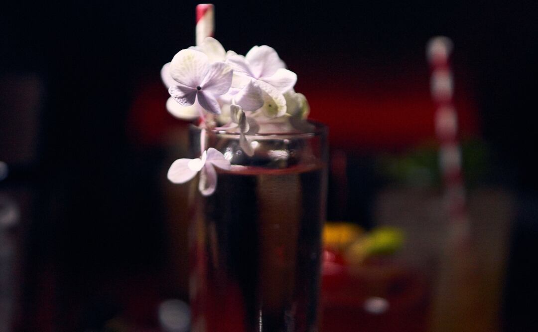 Carmín, un nuevo bar de autor en Coyoacán. Foto: cortesía