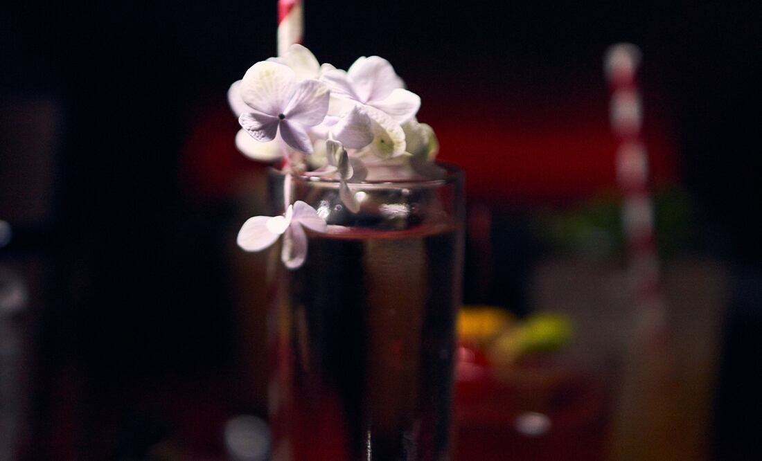 Carmín, un nuevo bar de autor en Coyoacán. Foto: cortesía