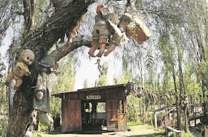 Cuál es la verdadera Isla de las Muñecas en Xochimilco