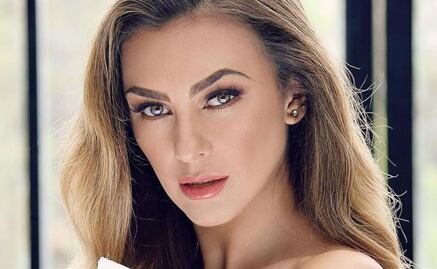 Aracely Arámbula se luce con el vestido ideal para una noche elegante