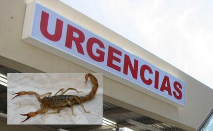 Alcaldes de Guanajuato, en alerta por casos de deshidratación, picaduras de alacrán, diarrea, insolación y vómito