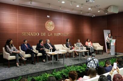 Partidos obstruyen a sus candidatas, denuncia senadora Diva Gastelum
