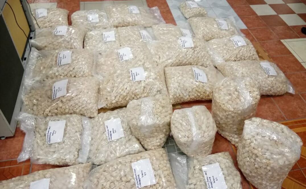 PGR decomisa 35 mil huevos de tortuga golfina. Foto: Especial