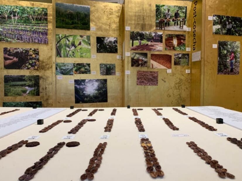 Noche de Museos, las actividades que no te puedes perder