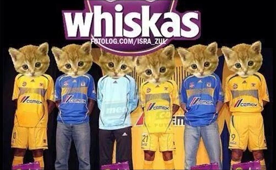 Estos son los MEJORES MEMES del Clásico Regio