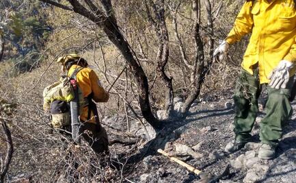 Controlan incendio en sierra de Nuevo León; afecta 30 hectáreas