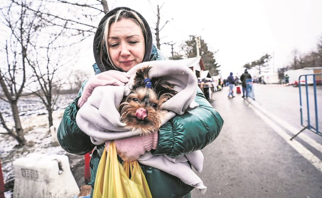 Cerca de 261 mil 445 ucranianos han entrado a Rumania; en la foto, una mujer refugiada.  Foto: Jessica Pasqualon/EFE